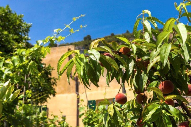 Agriturismo La Selva Hotell Finale Ligure Exteriör bild
