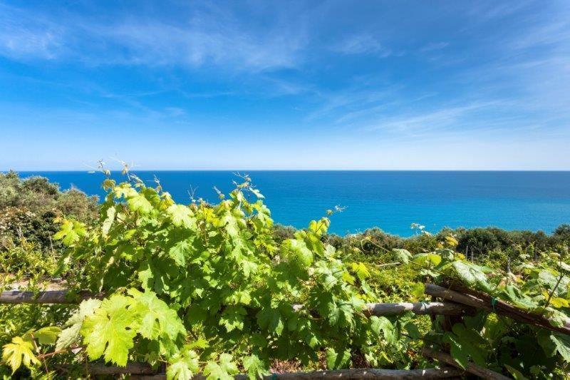 Agriturismo La Selva Hotell Finale Ligure Exteriör bild