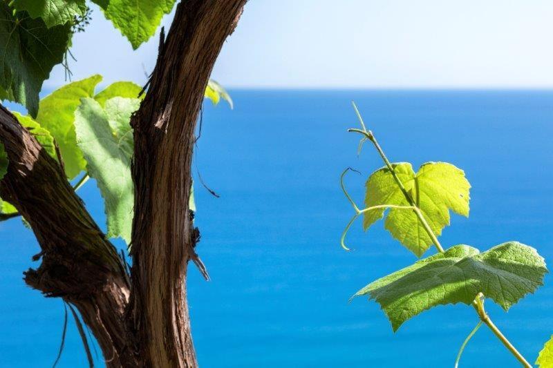 Agriturismo La Selva Hotell Finale Ligure Exteriör bild
