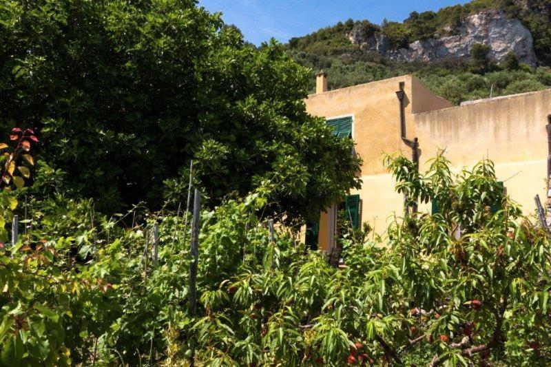 Agriturismo La Selva Hotell Finale Ligure Exteriör bild