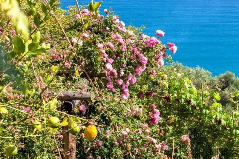 Agriturismo La Selva Hotell Finale Ligure Exteriör bild