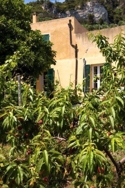 Agriturismo La Selva Hotell Finale Ligure Exteriör bild